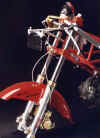 hoelzl_File0015.jpg (27818 Byte)
