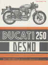 250Desmo_b_1.JPG (60394 Byte)