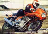 laverda_d_4.jpg (74538 Byte)